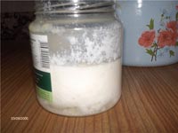 Молочный гриб полезные свойства