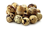 1469054 quail eggs isolated on the white background