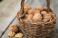 полезные свойства грецкого ореха
