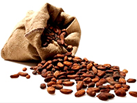 Полезные свойства какао