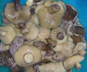 грибы маринованные на зиму