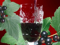 как сделать вино из черной смородины