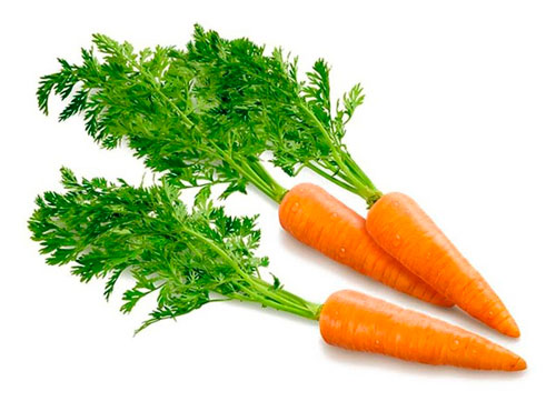 Морковь - вред и польза, как и сколько варить морковь