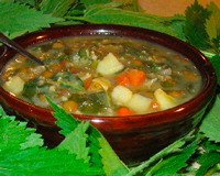 Суп из крапивы – рецепты приготовления крапивного супа